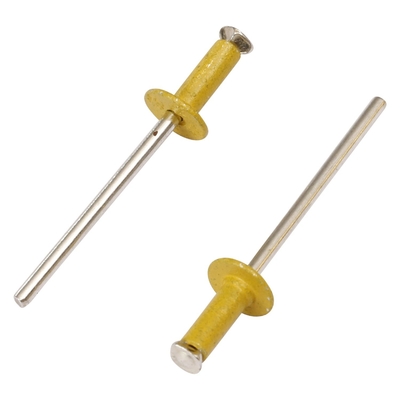 Edelstahl-Material Kopf Blind Rivet mit Pulverbeschichtung OEM CNC Hardware Teile